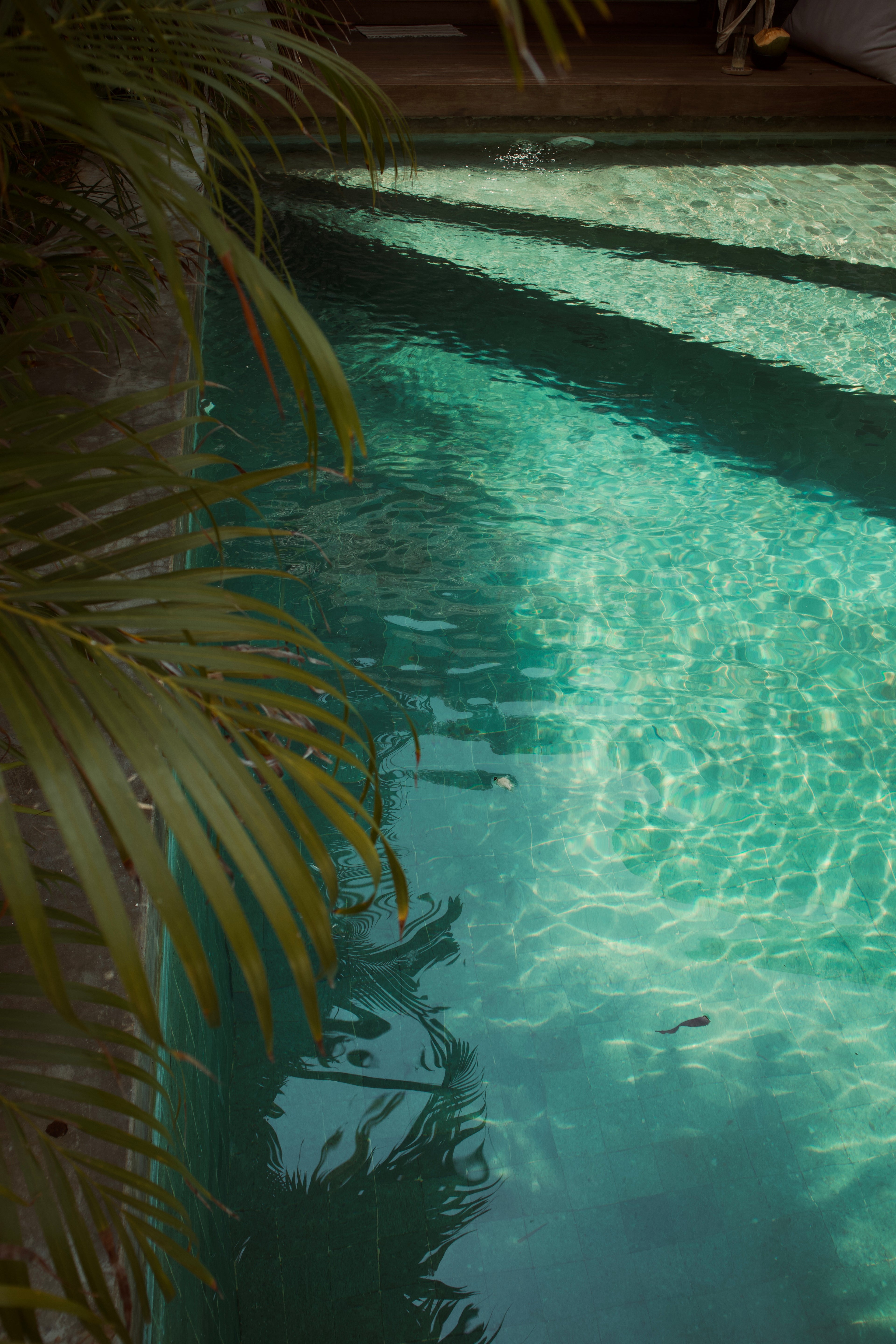 Sukabumi Green Pool Stone